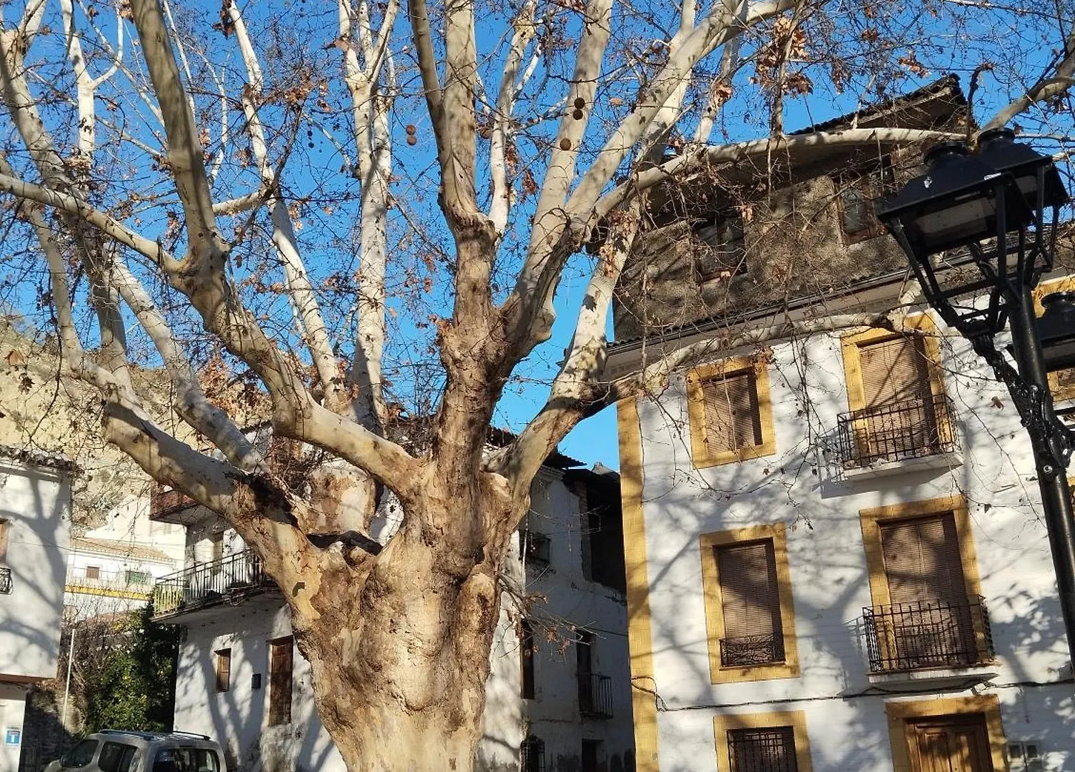 Casa Altuna Pinos Genil Apartment